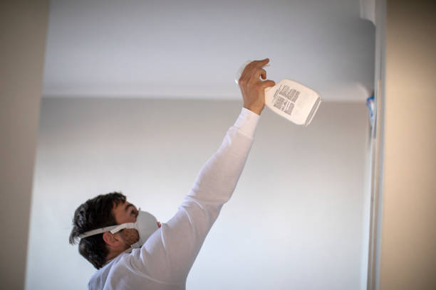 Best Crawl Space Mold Removal  in Buckley, WA