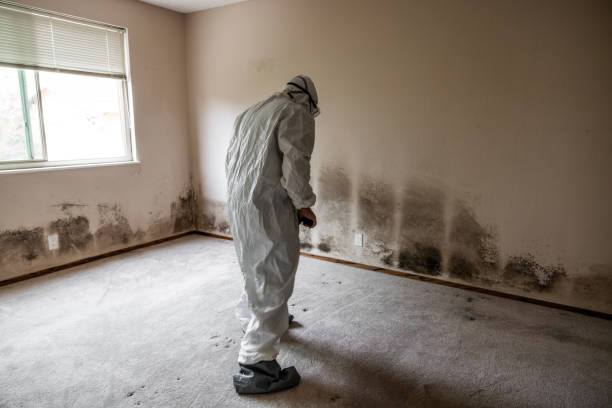 Buckley, WA Mold Removal Company