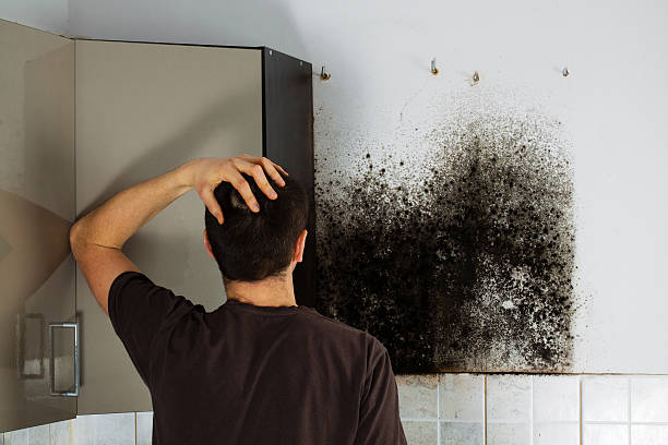 Best Mold Cleaning Services  in Buckley, WA